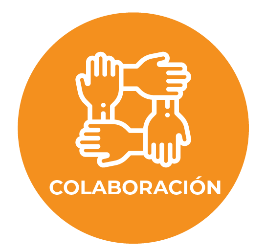 Somos una red diversa y conectada al servicio del cliente